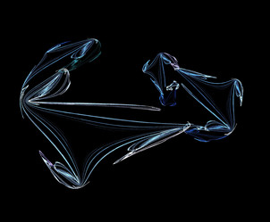 Similar image 22004330