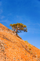 Similar image 21993619