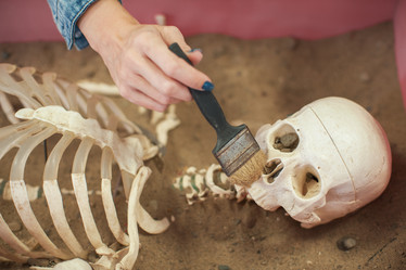 Similar image 22017280