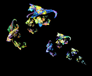 Similar image 22002564