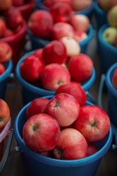 Similar image 22017180