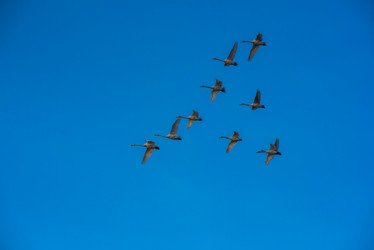 Similar image 22017186