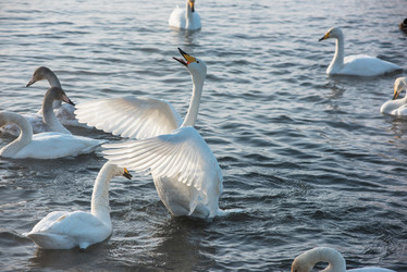 Similar image 22016629