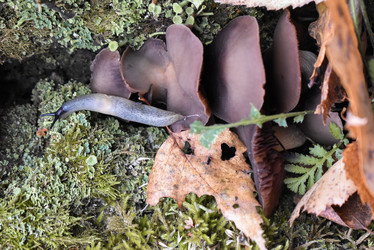 Similar image 22007277