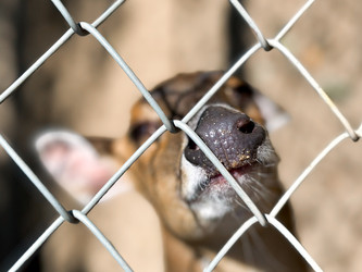 Similar image 22007279