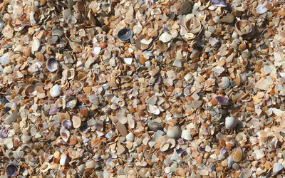 Similar image 22007281