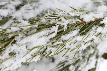 Similar image 22007282