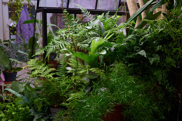 Similar image 21996933