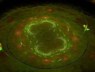 Similar image 22018931