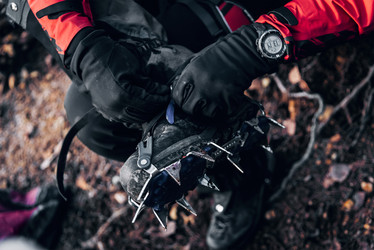 Similar image 21993416