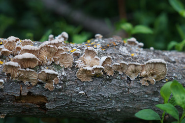 Similar image 22005938