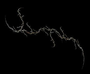 Similar image 22003894