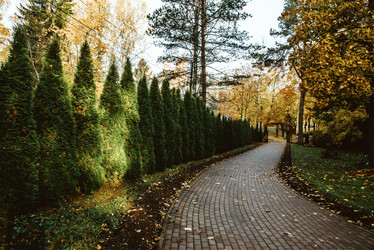 Similar image 21992991