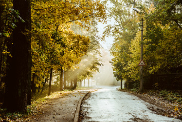 Similar image 21992992