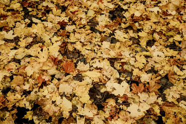 Similar image 21993419