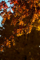 Similar image 21994026