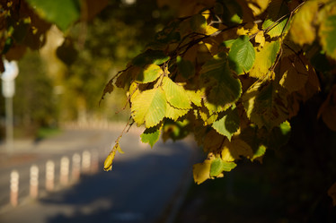 Similar image 21994027