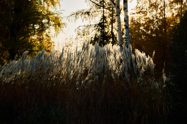 Similar image 21994029