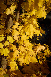 Similar image 21994031