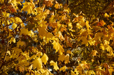 Similar image 21994032