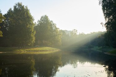 Similar image 21994241