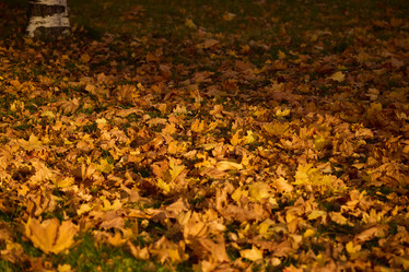 Similar image 21994395