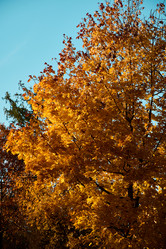 Similar image 21996329