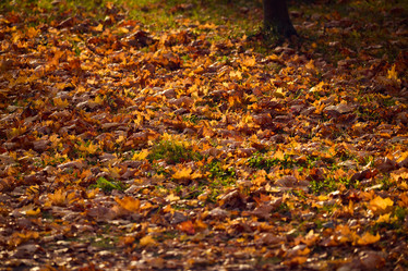 Similar image 21996946