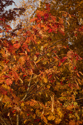 Similar image 21997900