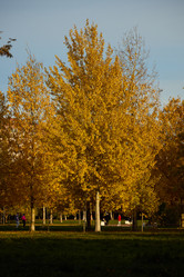 Similar image 21998330