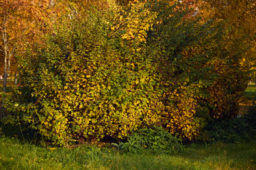 Similar image 21998331