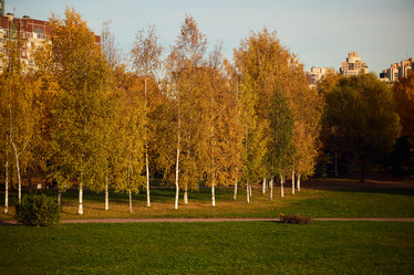 Similar image 21998932