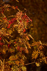 Similar image 21998968