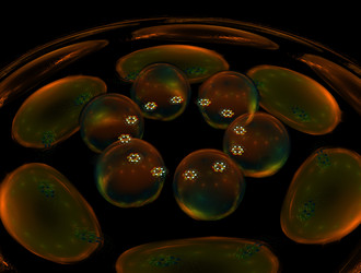 Similar image 22019178