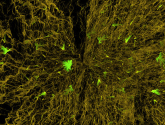 Similar image 22019242