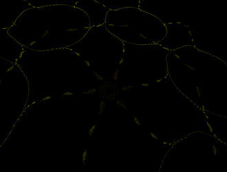 Similar image 22019243