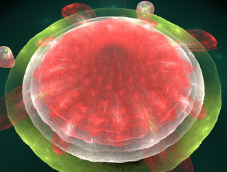 Similar image 22019244