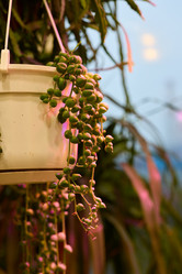 Similar image 21994051