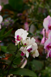 Similar image 21994065