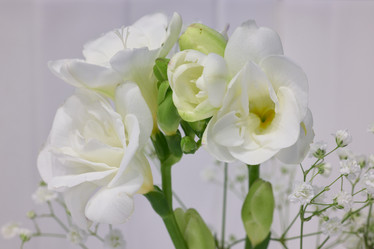 Similar image 21994245