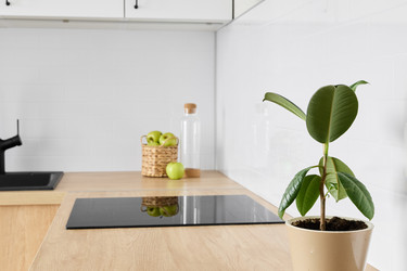 Similar image 21994246