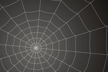 Similar image 21998207