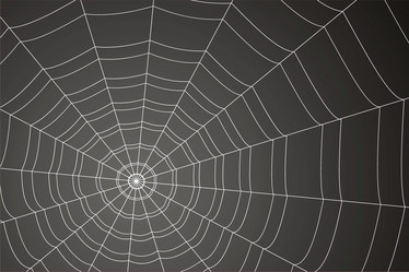 Similar image 21998227