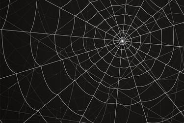 Similar image 21998229