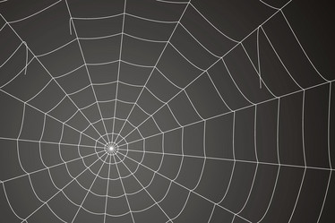 Similar image 21998230