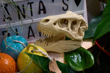 Similar image 21998878