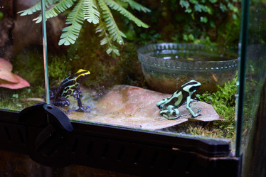 Similar image 21998978