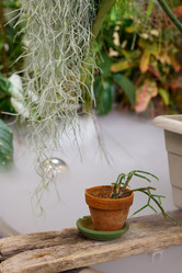 Similar image 21999067