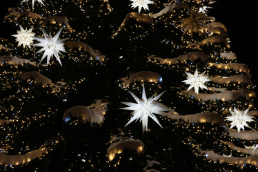 Similar image 21999107