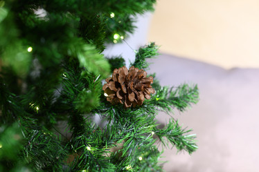 Similar image 21996331